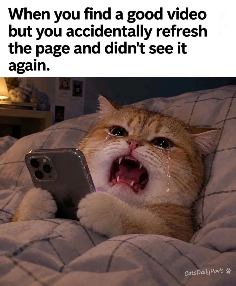 GIF yakaiswa naMeggy