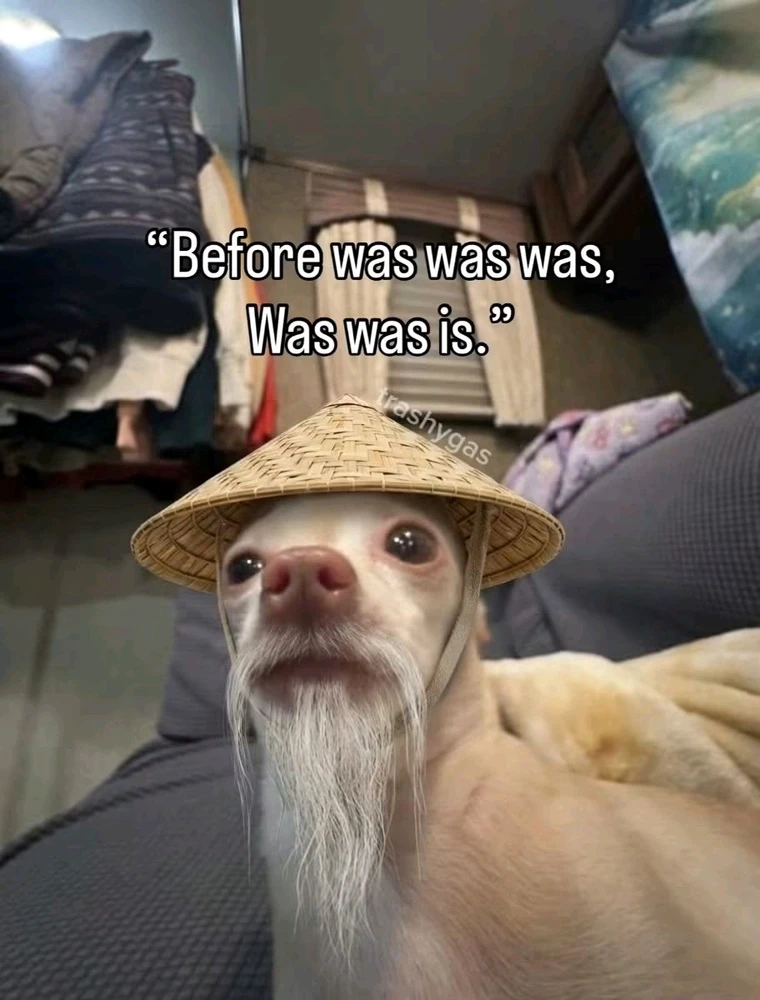 GIF yakaiswa naMeggy