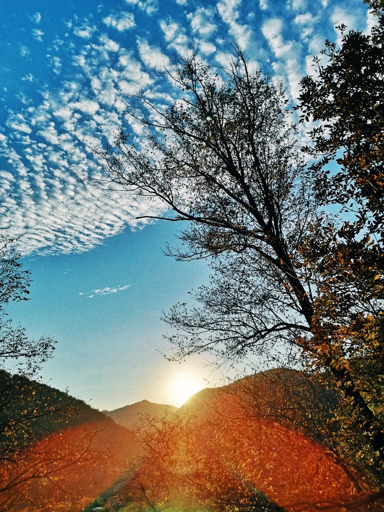 GIF uploaded by Lera