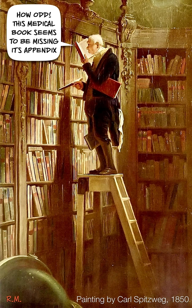 GIF yakaiswa naBroni