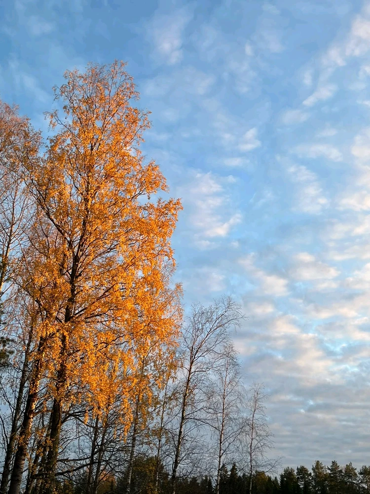 Nuotrauką įkėlė Winter
