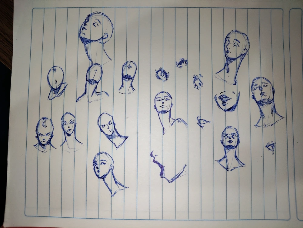 Imaghjina caricata da Leonardo