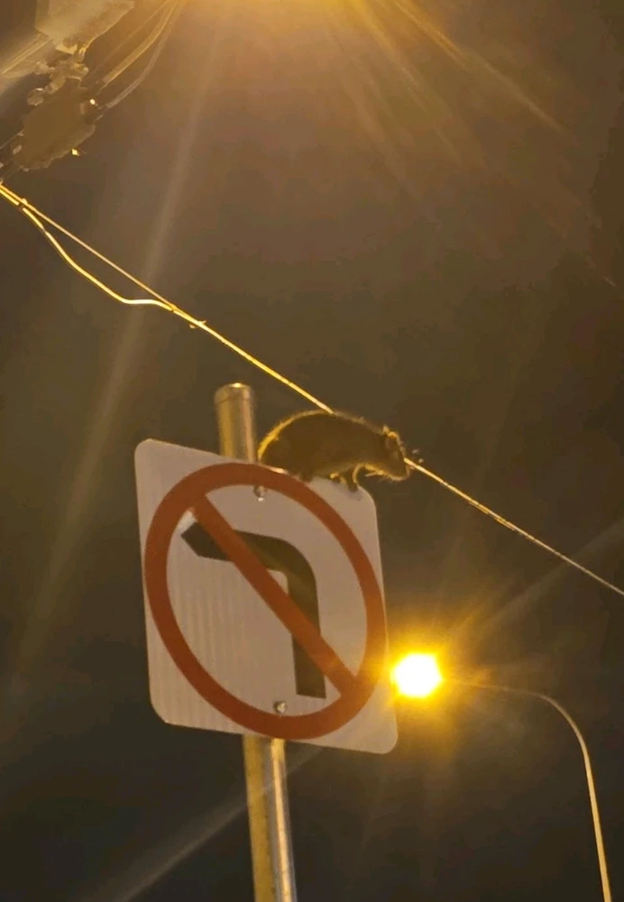 GIF i tukuna ake e xaiidanhx