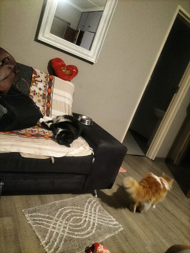 I whakaekea e Mieke