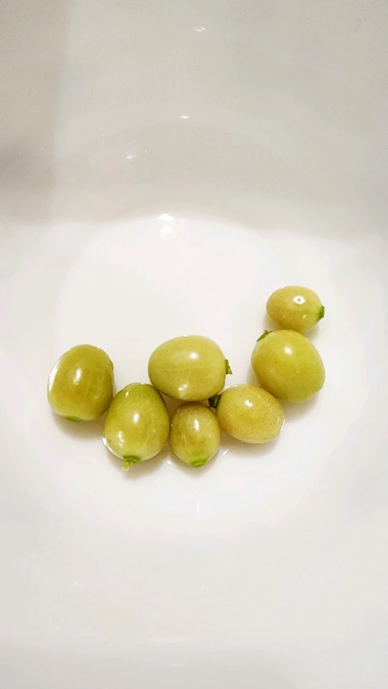 Empress йөкләгән GIF
