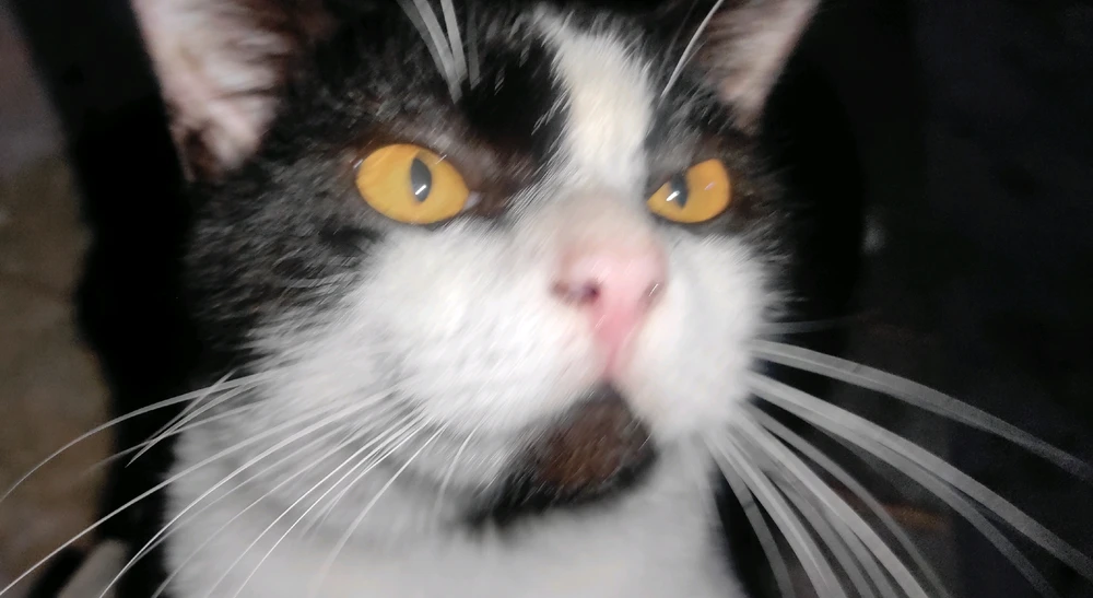 GIF įkėlė Cesa