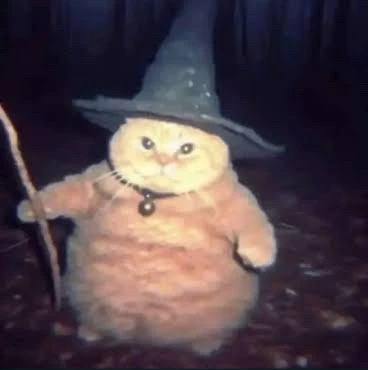 GIF e kentsoeng ke Zane