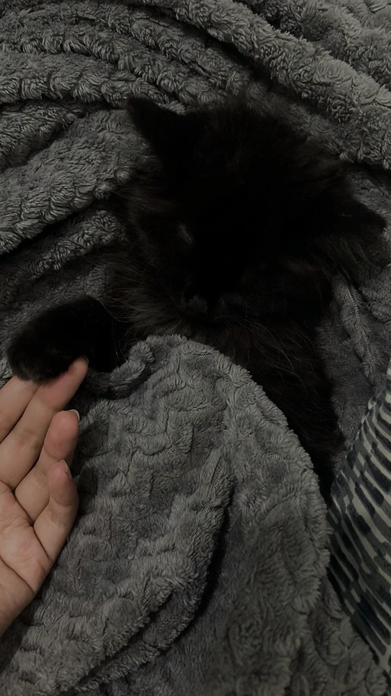 GIF објавен од Ida