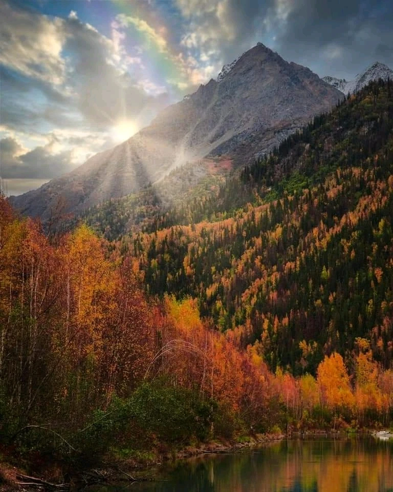 GIF üles laaditud kasutajalt Alaskanwilds