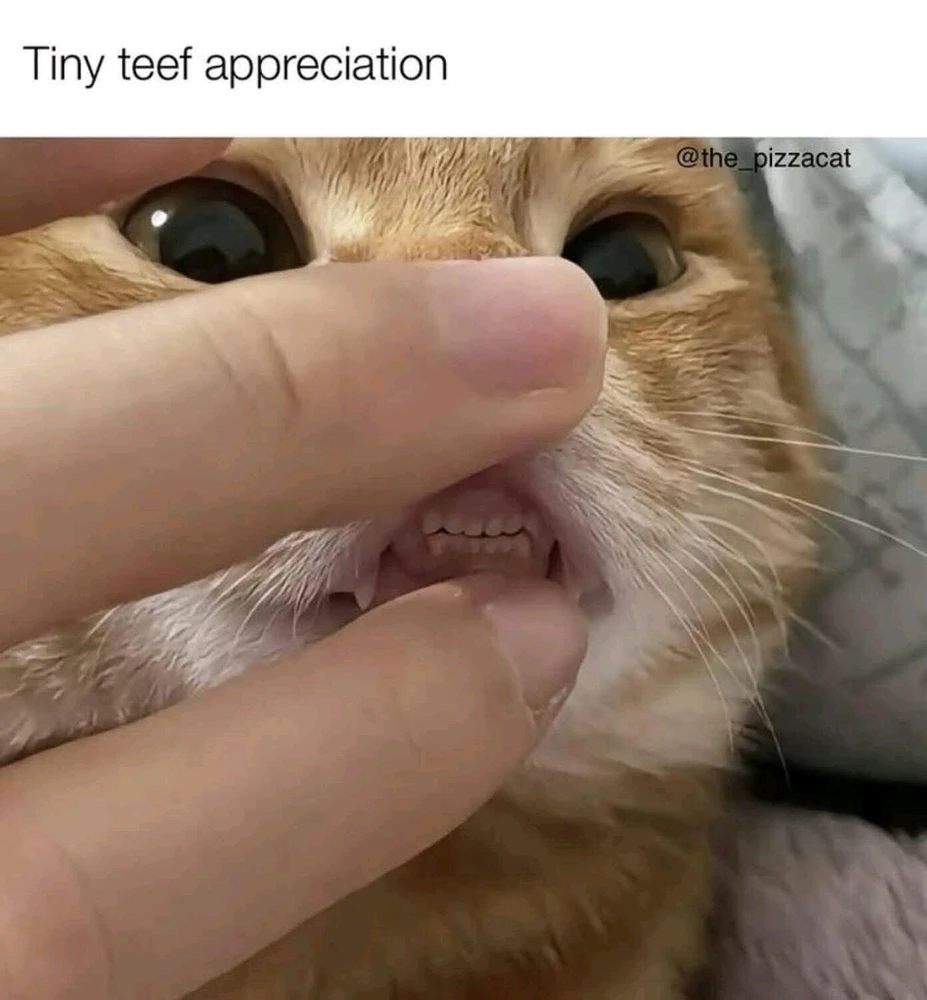 GIF įkėlė Melanie