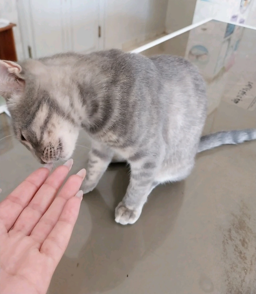 GIF įkėlė Noor