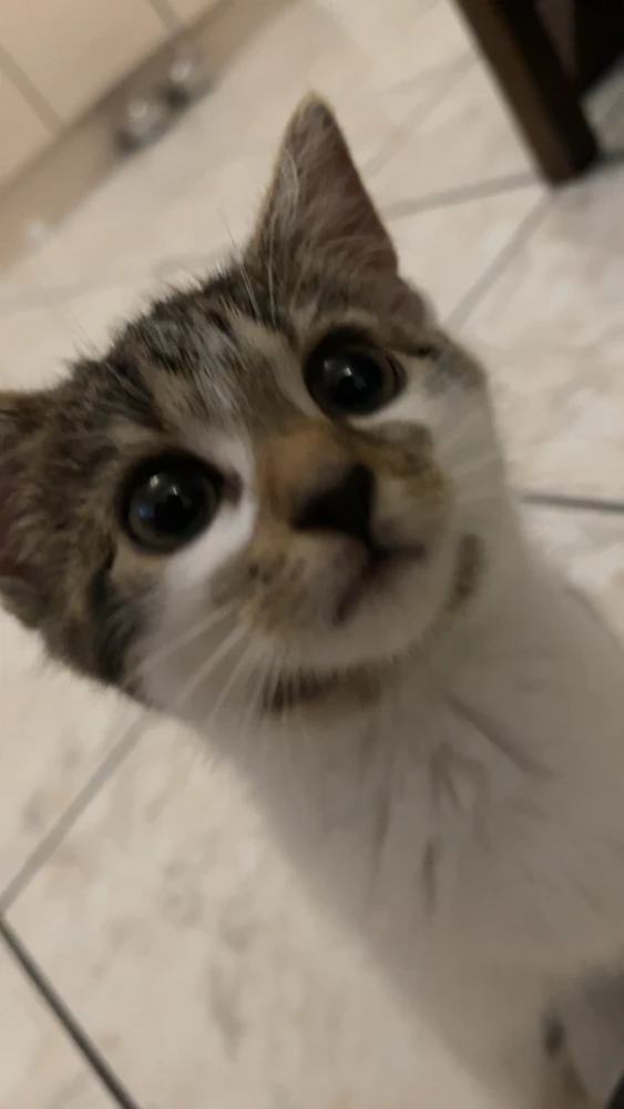 GIF įkėlė Ethan