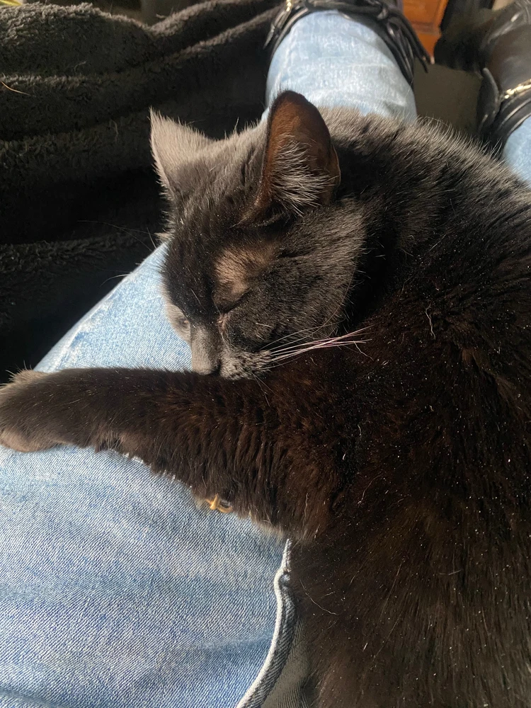 GIF įkėlė Ericka