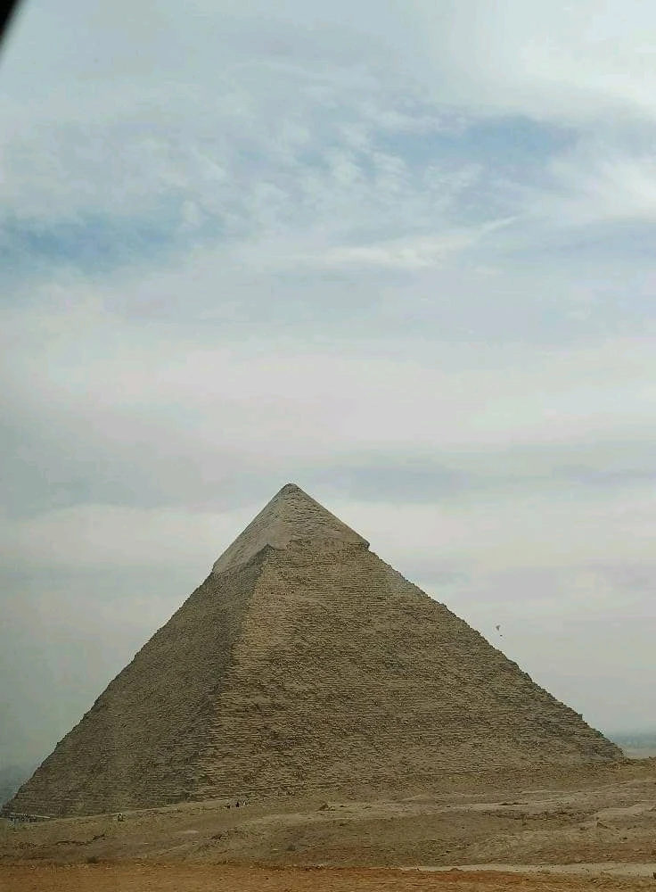 Hany gharibがアップロードした画像