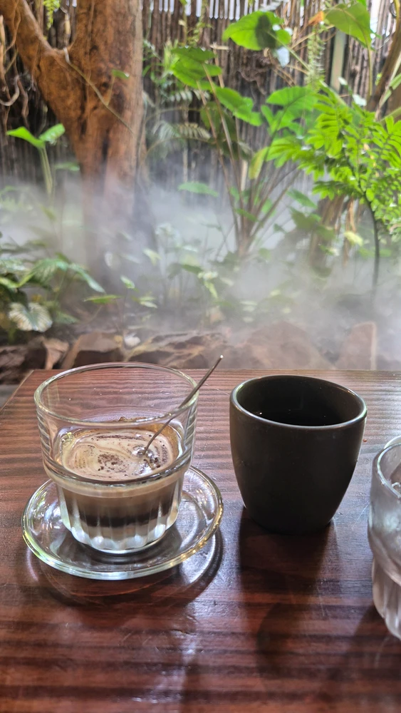 Thảo tarapyndan ýüklenen surat