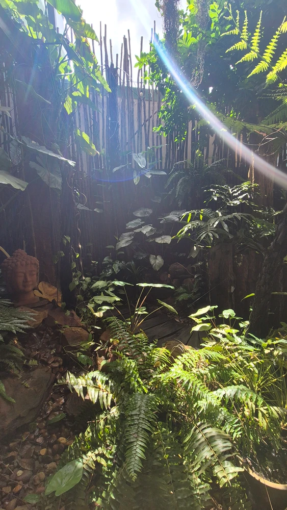 Image uploaded by Thảo