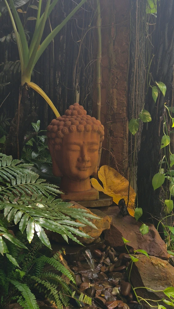 Image uploaded by Thảo