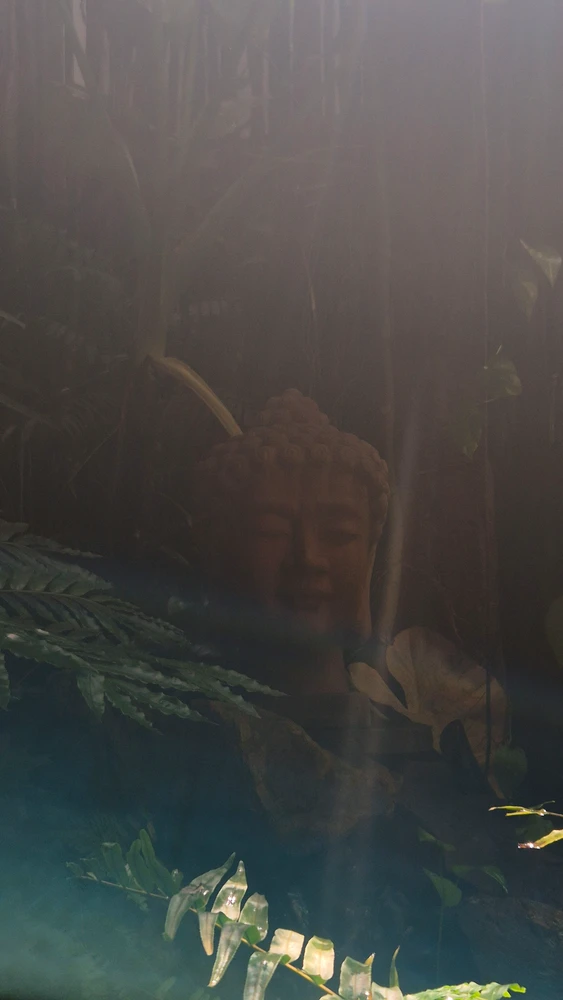 Image uploaded by Thảo