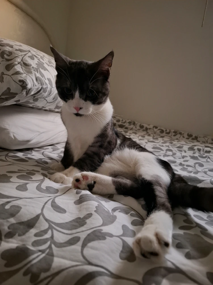 GIF dodany przez Nylej