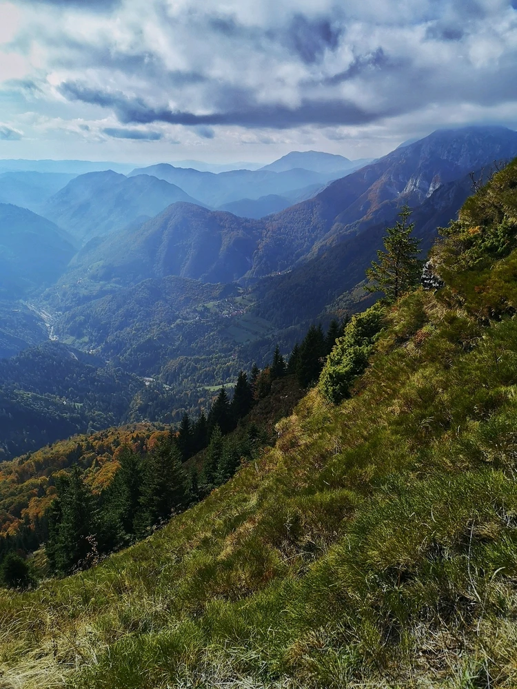 GIF augšupielādēja Lera