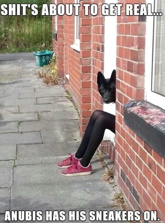 GIF ℳℴ𝓇𝓃𝒾𝓃ℊ𝓈𝓉𝒶𝓇 tərəfindən yükləndi