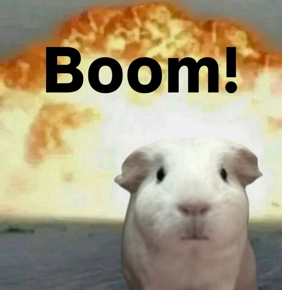 GIF eropgeluede vum Joy