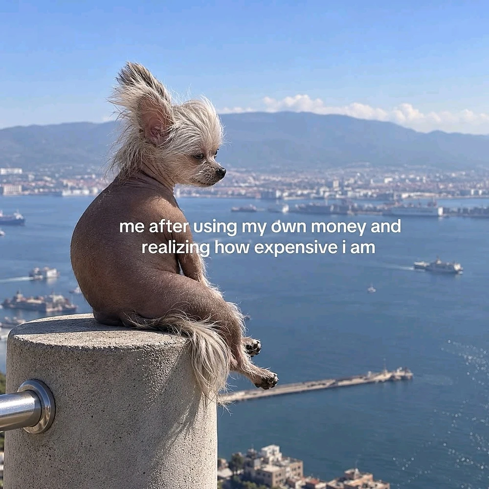 Erica tarafından yüklenen GIF