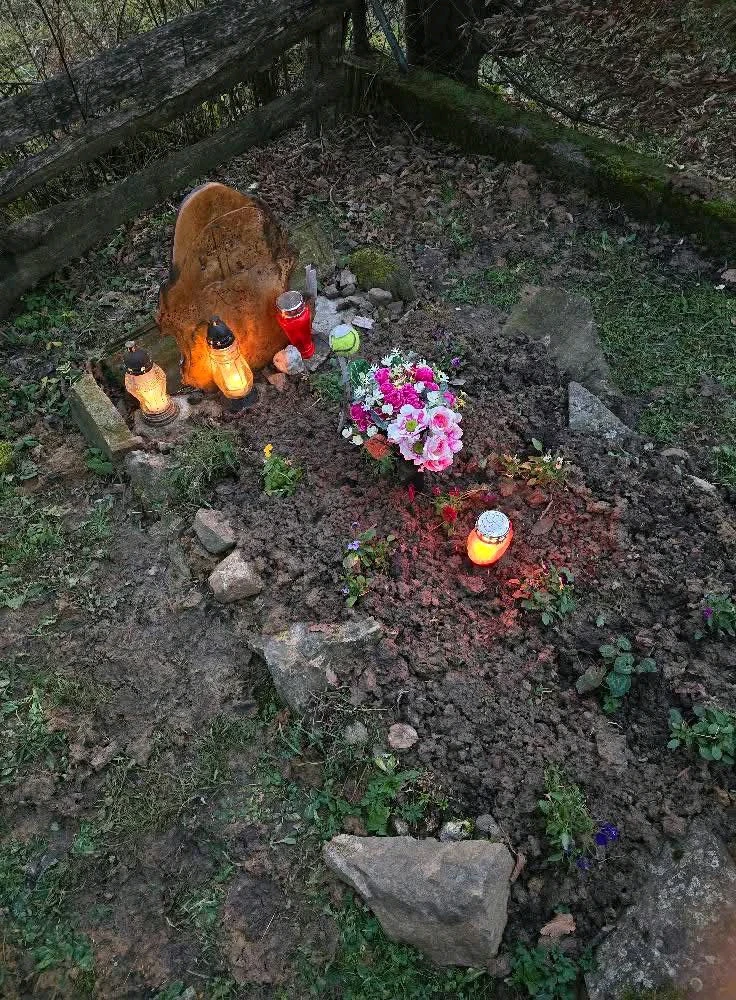 Nuotrauką įkėlė Vladimir