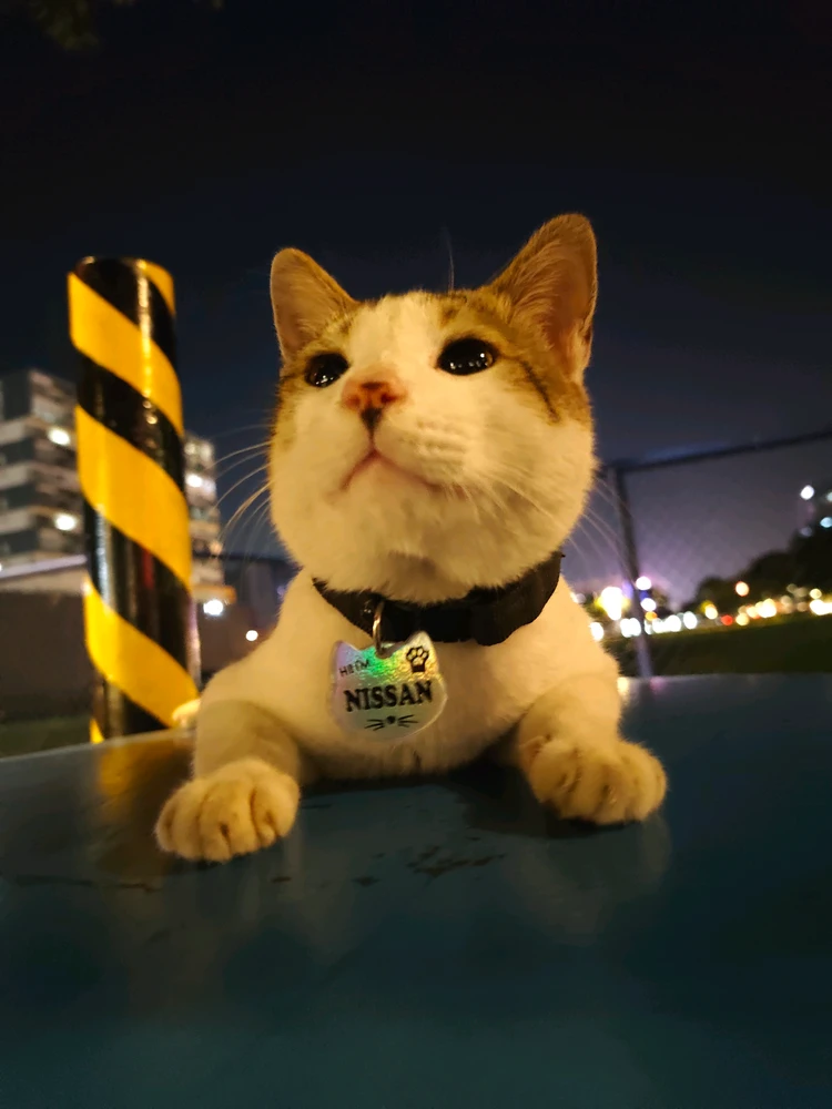 د Lars لخوا GIF اپلوډ شوی