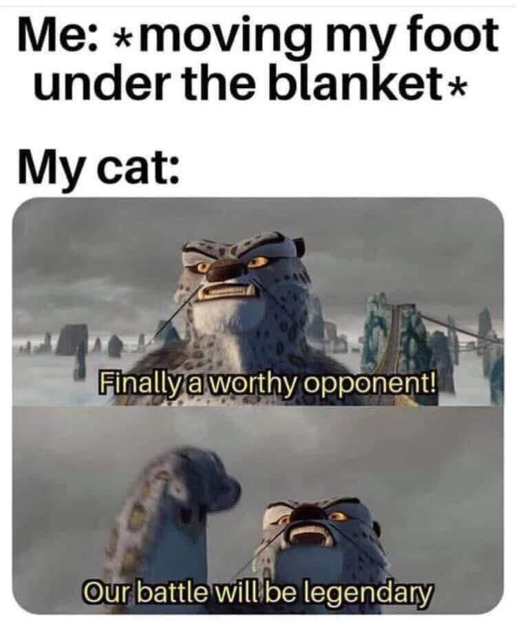 GIF Matt tərəfindən yükləndi