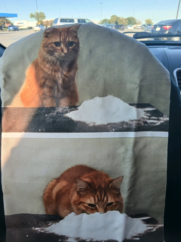 GIF augšupielādēja Nick