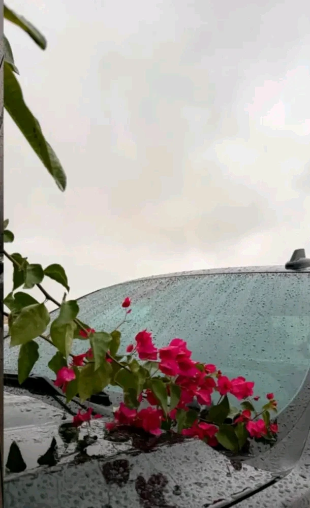 𝑳𝒊𝒏𝒅𝒂 latasi kuvan
