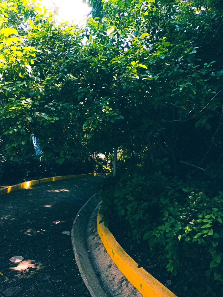 GIF subido por Luis Flores