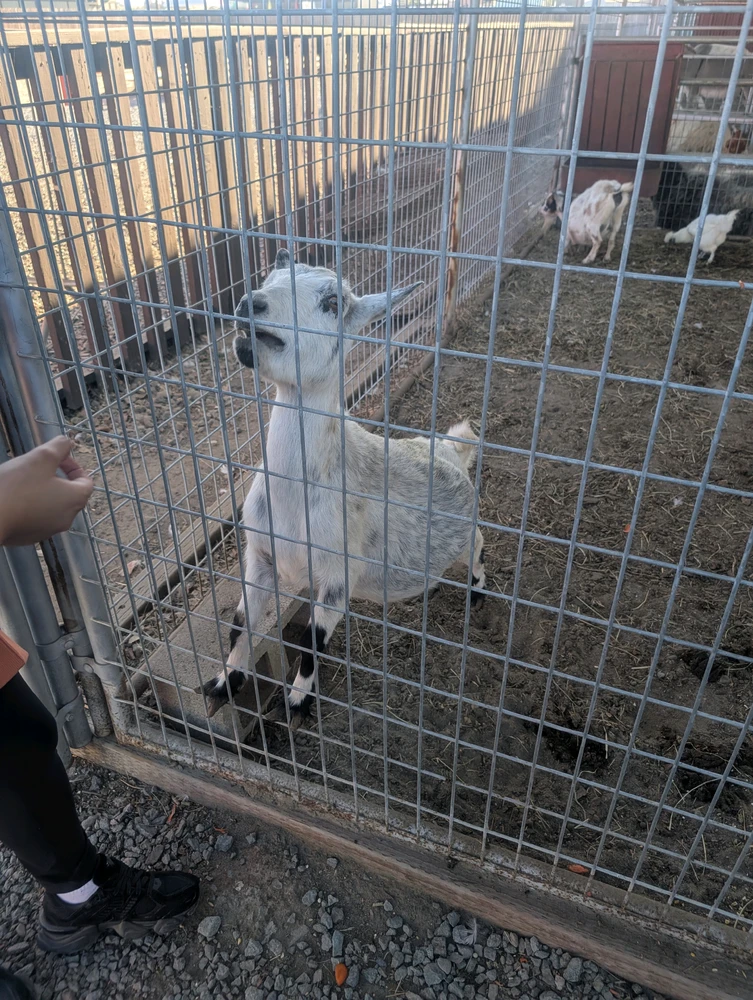 Sliku je postavio/la Julianna