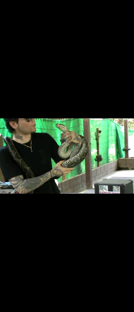 GIF sent inn af Jack