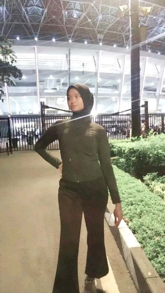 Nadine(e)k igotako irudia