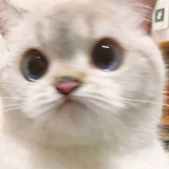 Mufananidzo wakaiswa na ꨄ𝐃ꨄ