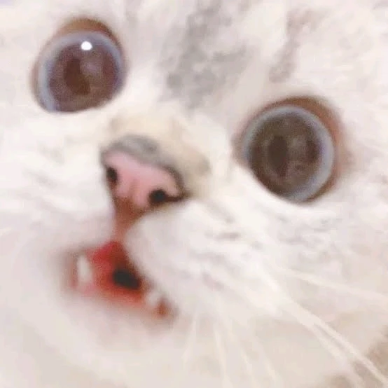 Mufananidzo wakaiswa na ꨄ𝐃ꨄ