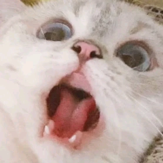 Mufananidzo wakaiswa na ꨄ𝐃ꨄ