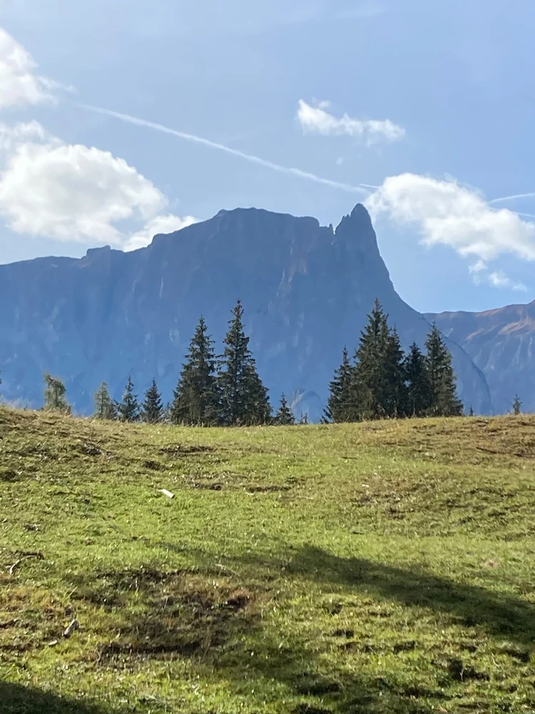 GIF ℳ𝒾𝒹𝓃𝒾ℊ𝒽𝓉 tarapyndan ýüklenen