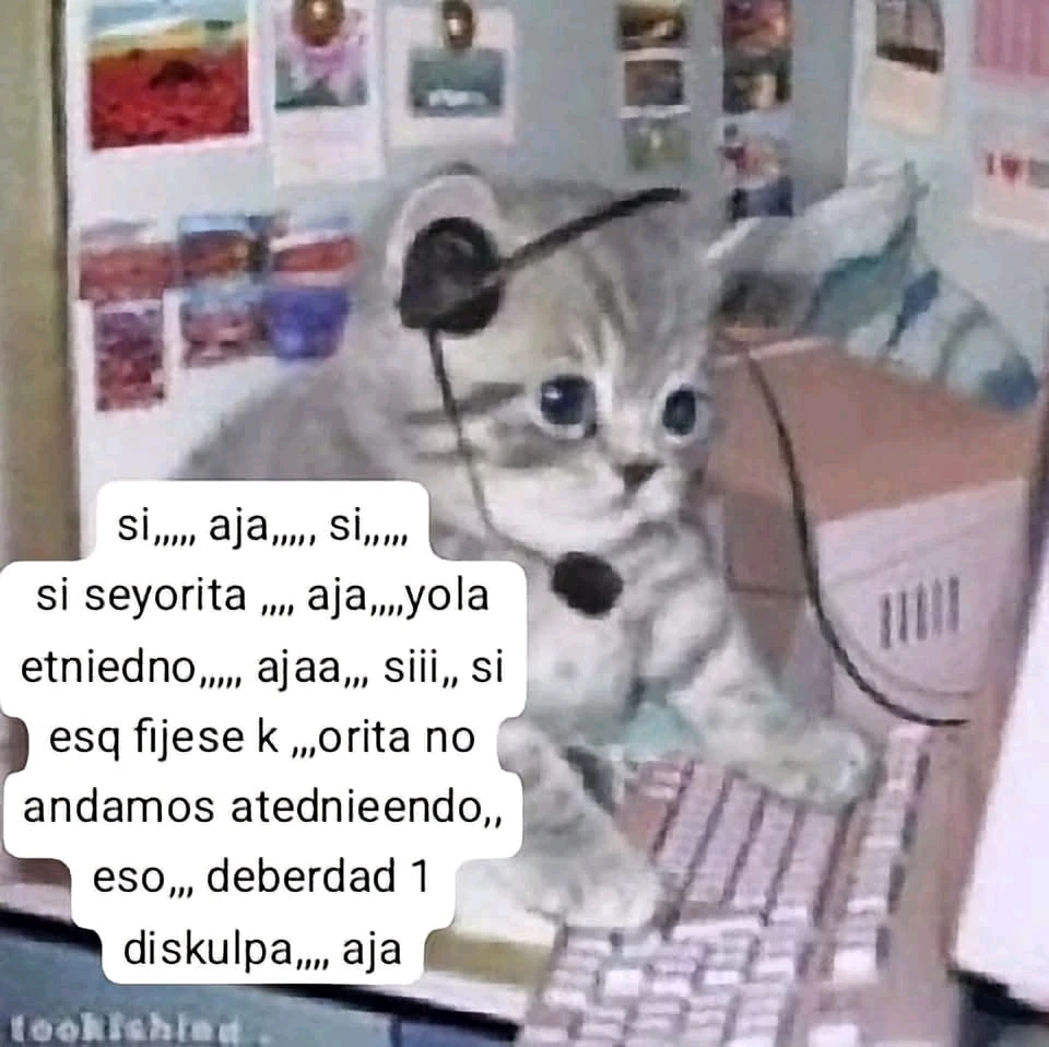 GIF uploaded by Alexis