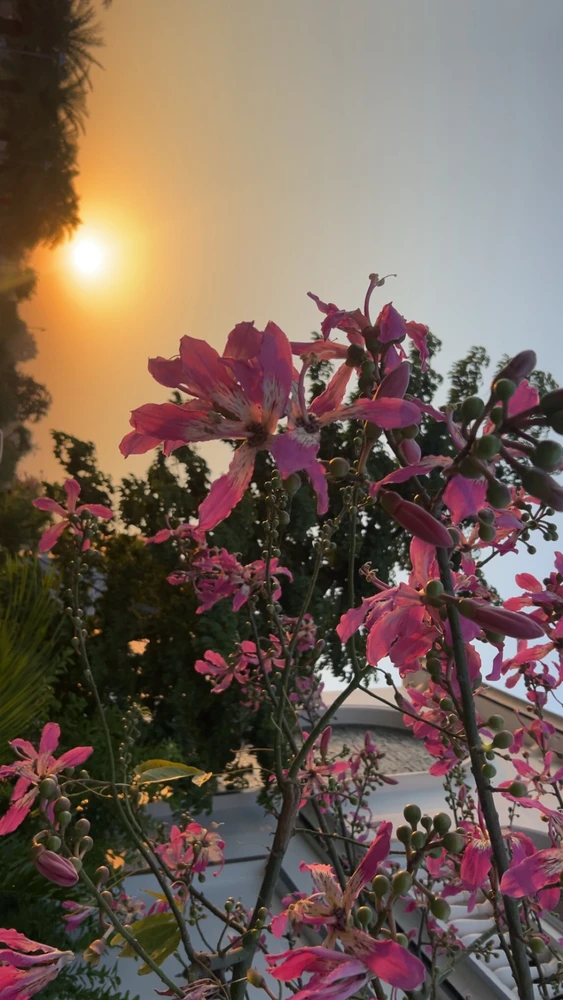 GIF uploaded by Navu