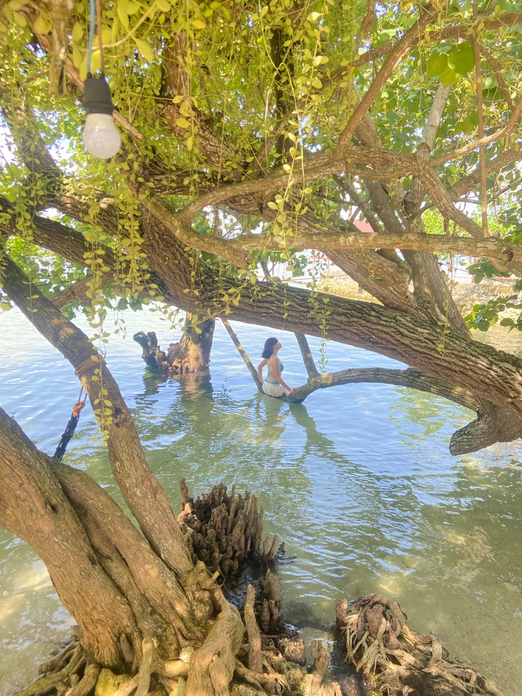 jesho байршуулсан зураг