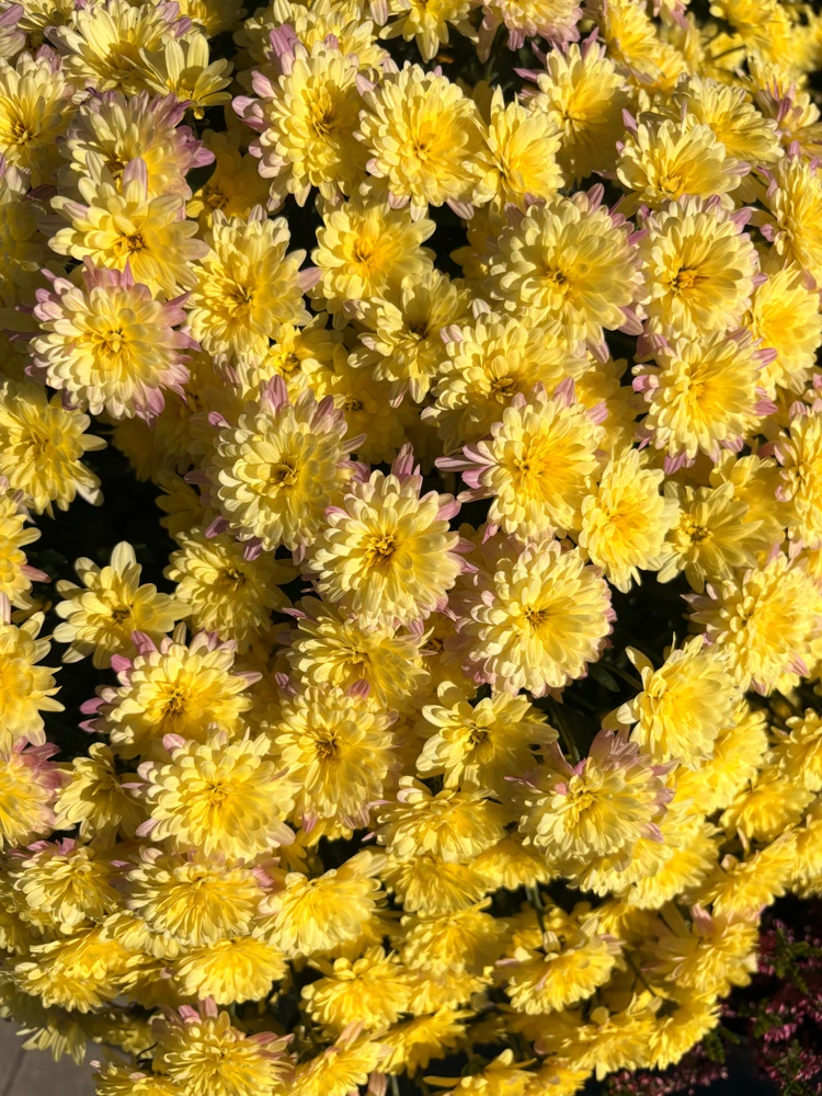 GIF uploaded by ℳ𝒾𝒹𝓃𝒾ℊ𝒽𝓉