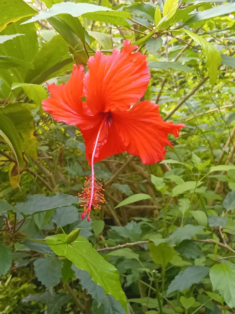 GIF uploaded by Saff