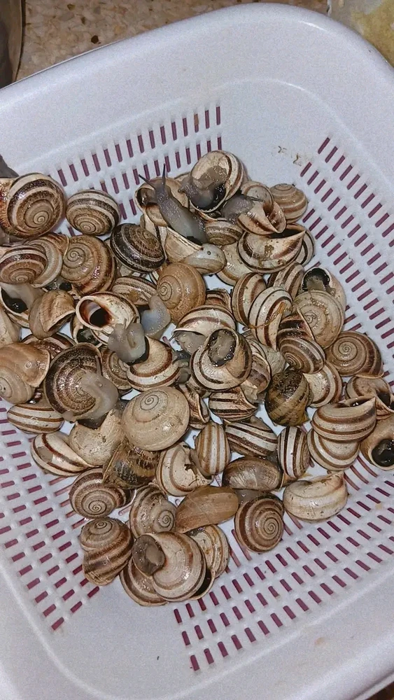 𝑳𝒊𝒏𝒅𝒂 laadis üles pildi