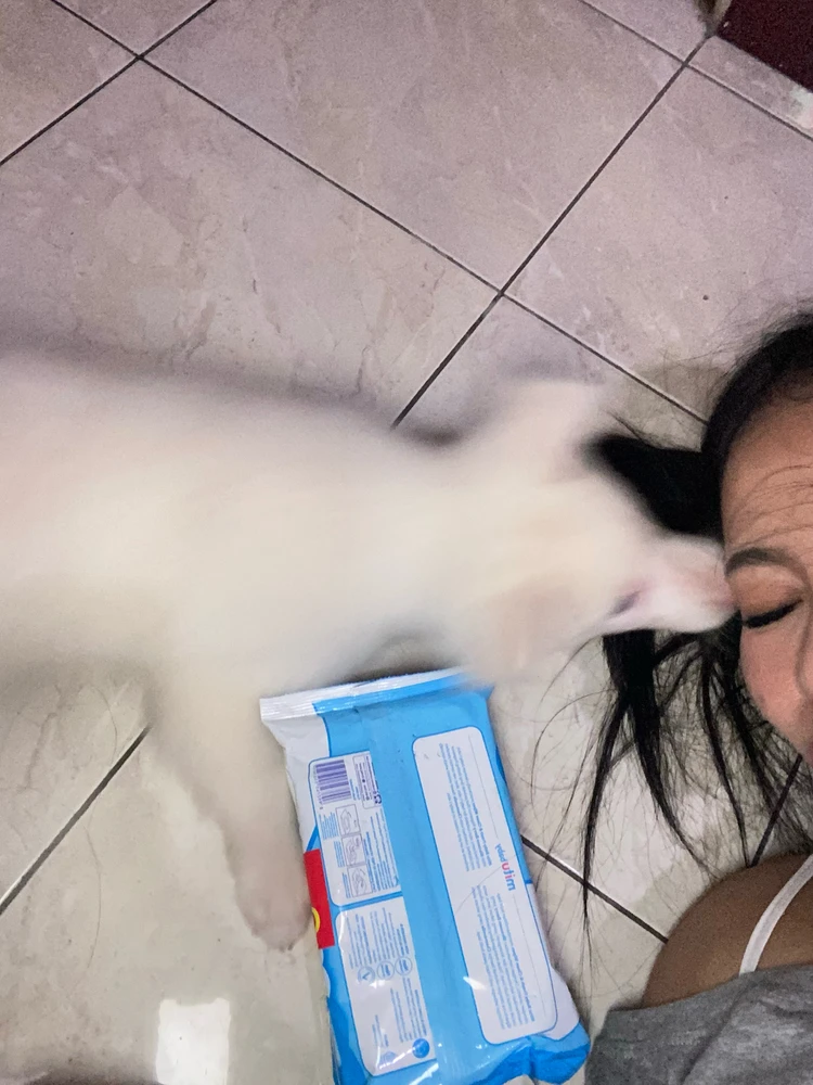 Nat йөкләгән GIF