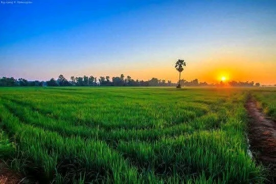 Gambar diunggah oleh ANNA