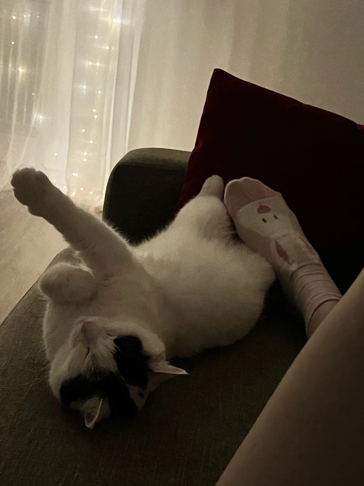 GIF Ekaterina te mete