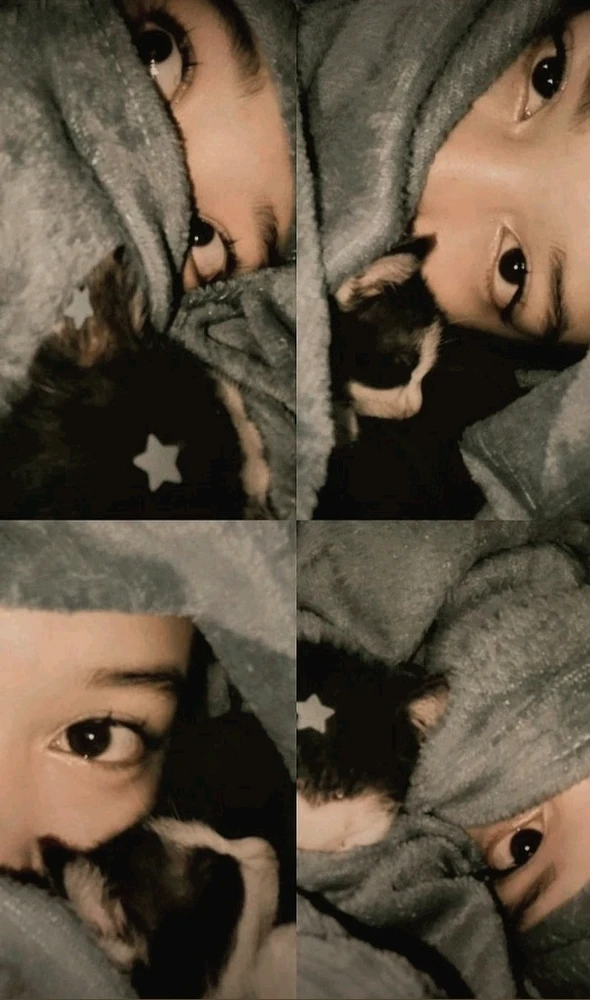 GIF opgelaai deur Maya